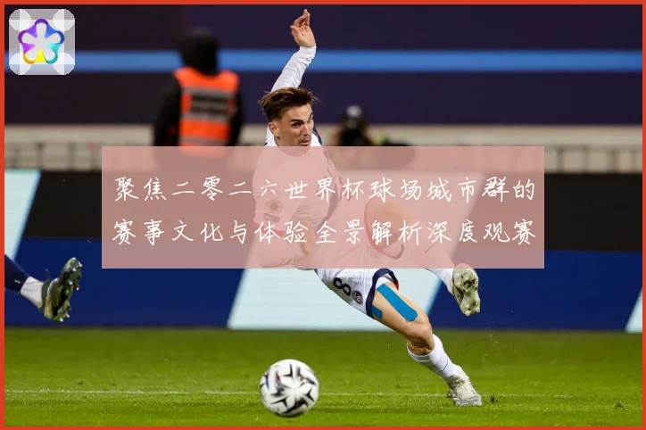 聚焦二零二六世界杯球场城市群的赛事文化与体验全景解析深度观赛事前瞻