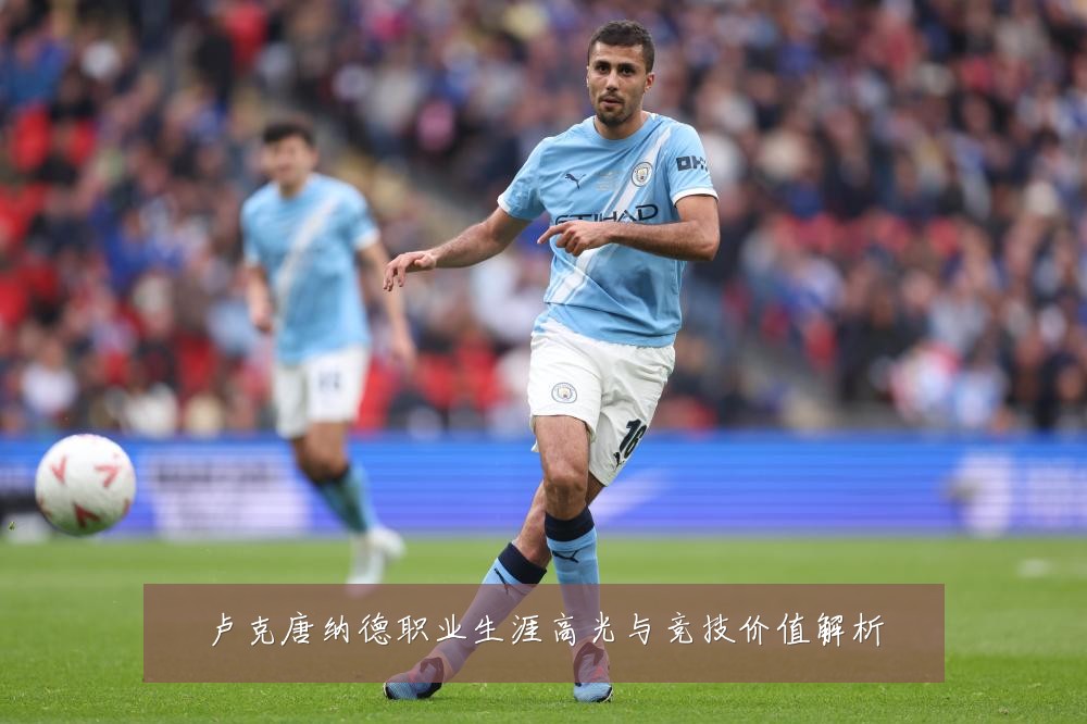 卢克唐纳德职业生涯高光与竞技价值解析